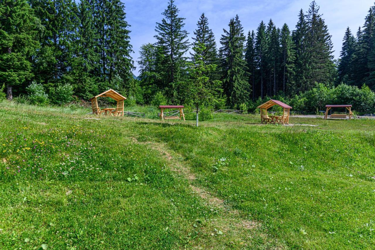 Pine Woods Studio D113 In Silver Mountain Poiana Brasov Exterior photo